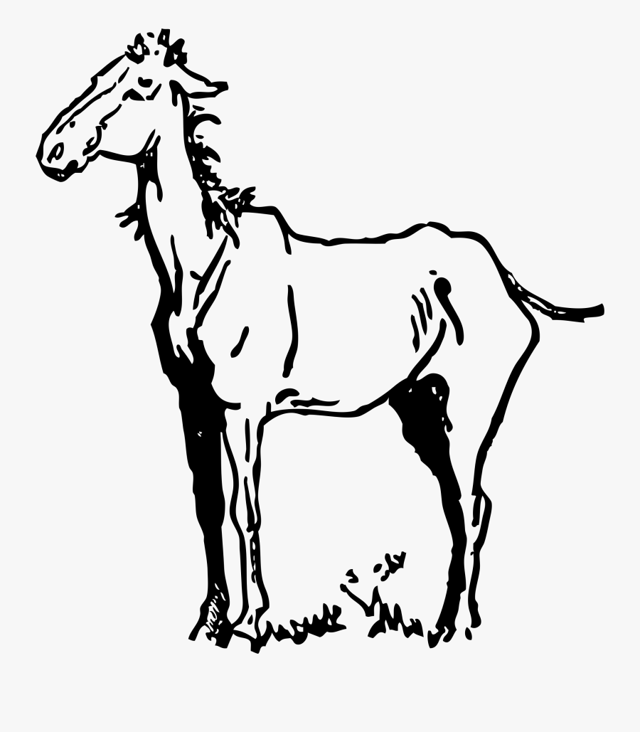 Old Horse - Horse Clip Art, Transparent Clipart