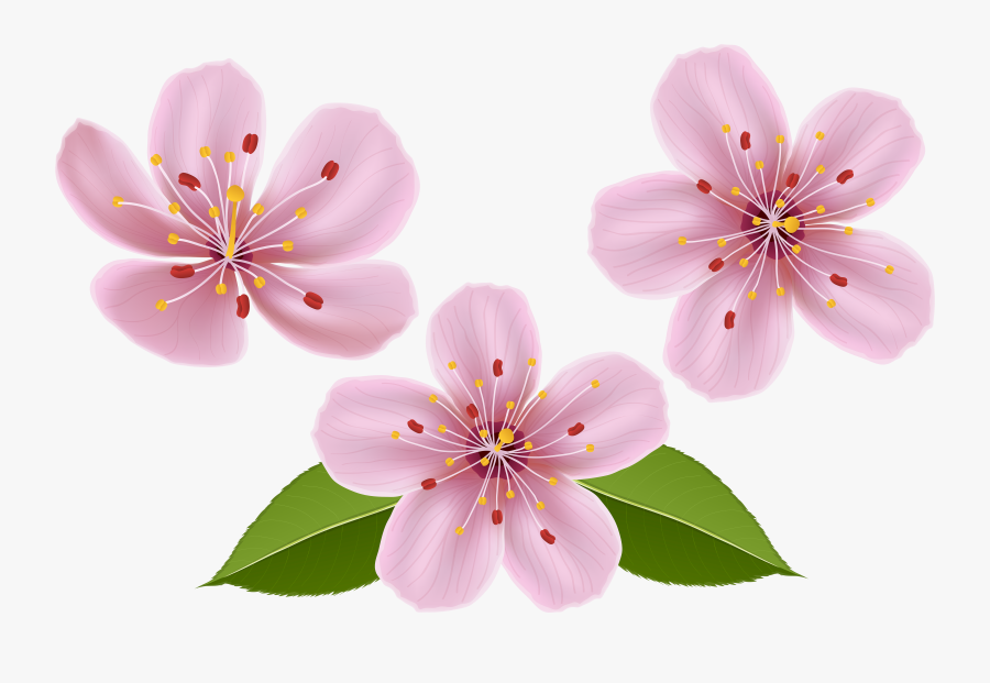 Spring Clip Art Image Transparent Background - Transparent Background Spring Flower Png, Transparent Clipart