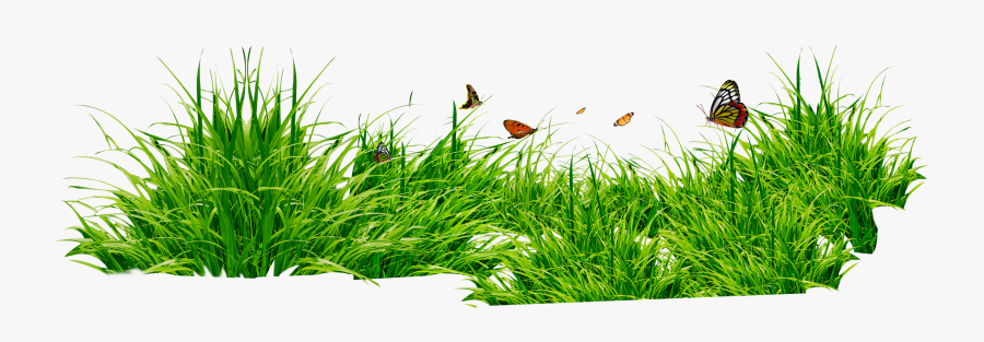 Grass Clipart - Grass Png, Transparent Clipart