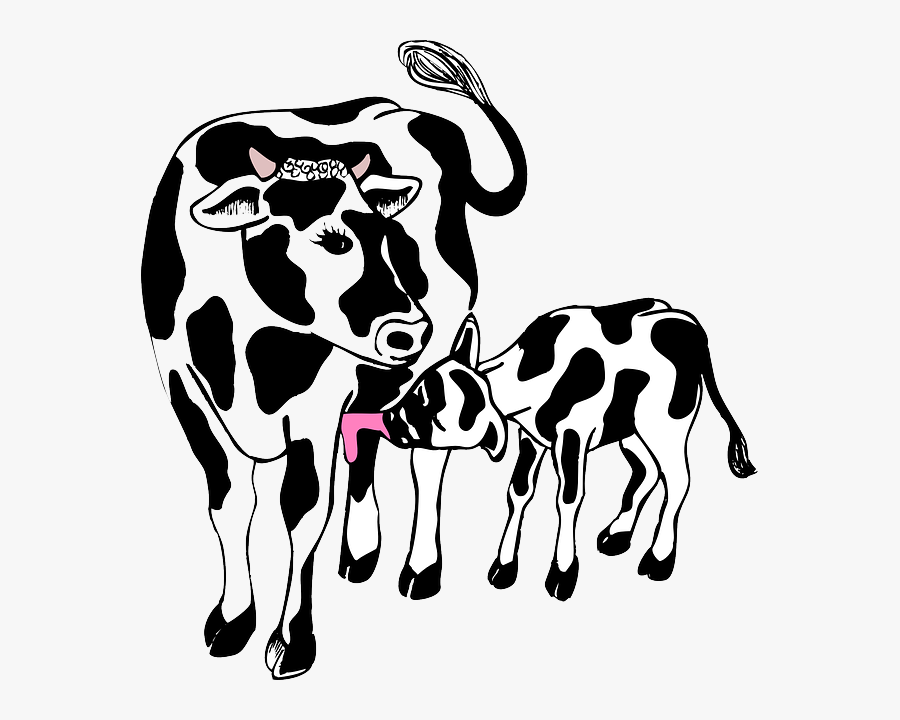 Cow Clipart Mother And Baby - Cow And Calf Clipart Black And White, Transparent Clipart