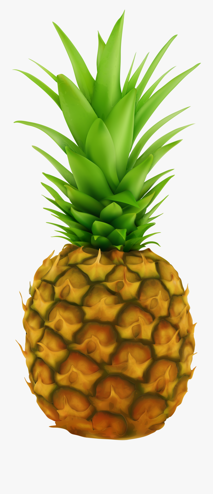 Pineapple Transparent Clip Art Image - Pineapple Fruit Transparent Background, Transparent Clipart