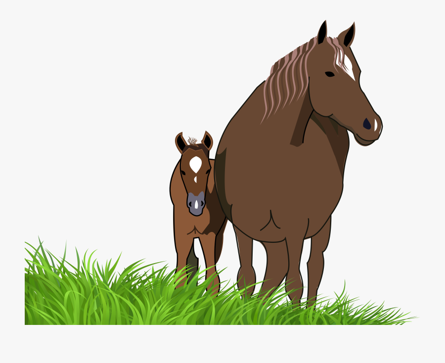 Transparent Horse Clipart - Horse And Foal Clipart, Transparent Clipart