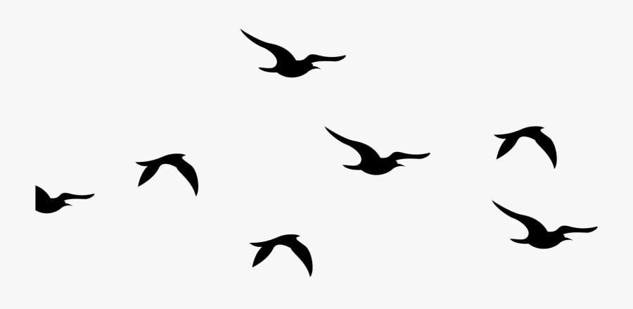 Flying Birds Clipart Silhouette - Flying Bird Silhouette Png, Transparent Clipart