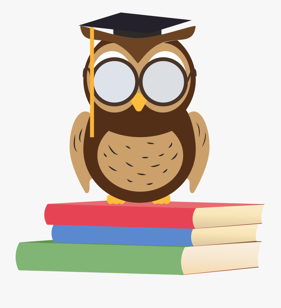 Owl, Clip Art, Books, School, Education, Wise, Cartoon - Idiom I Wasn T Born Yesterday, Transparent Clipart