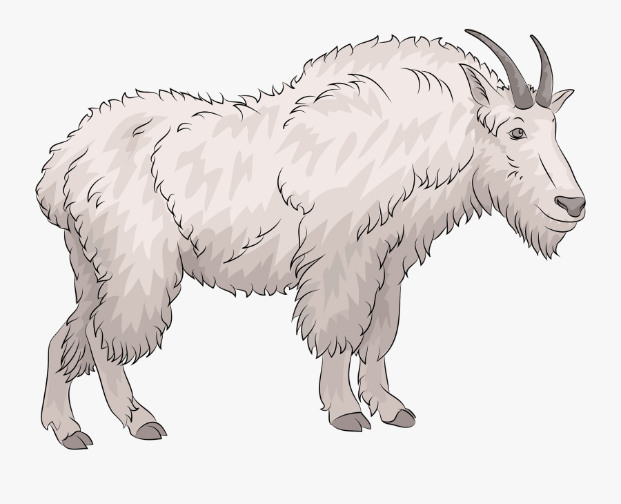 Goat, Transparent Clipart