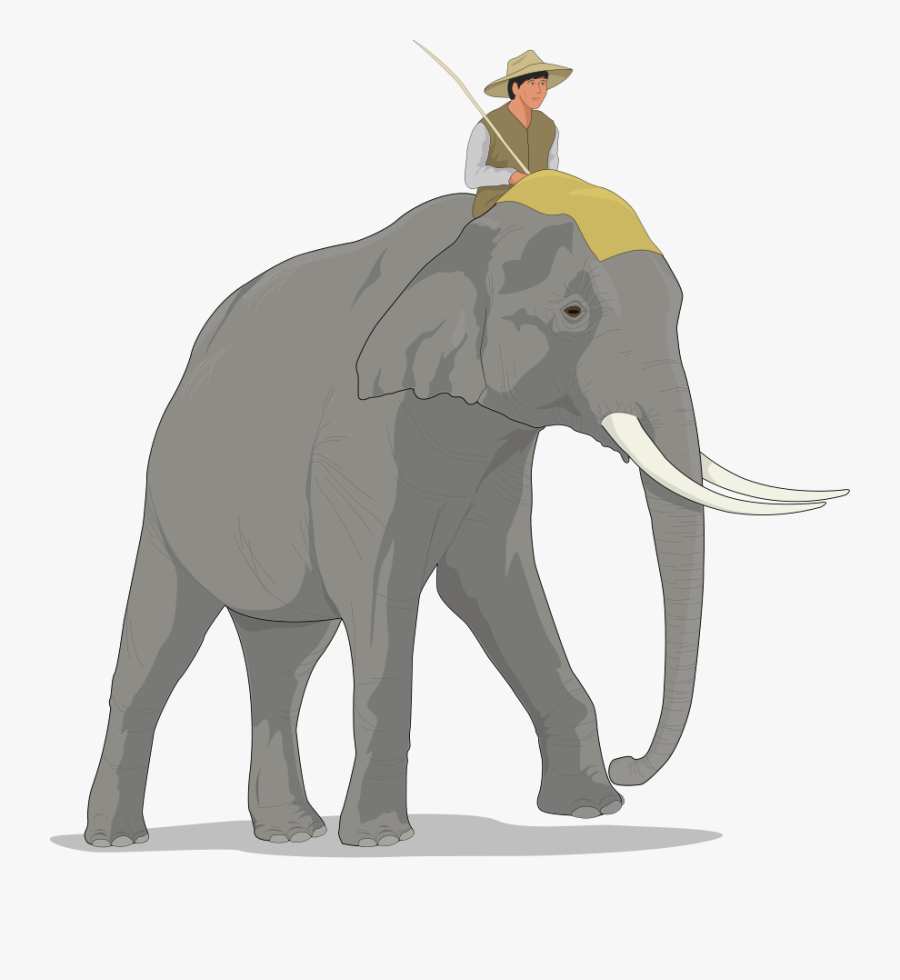 Animal Wallpapers Ilikewalls - Elephant And Rider Cartoon, Transparent Clipart