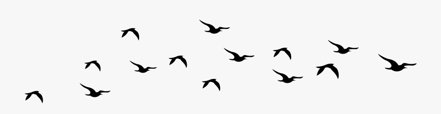 Cancer Awareness Clipart - Bird Flying Vector Png, Transparent Clipart