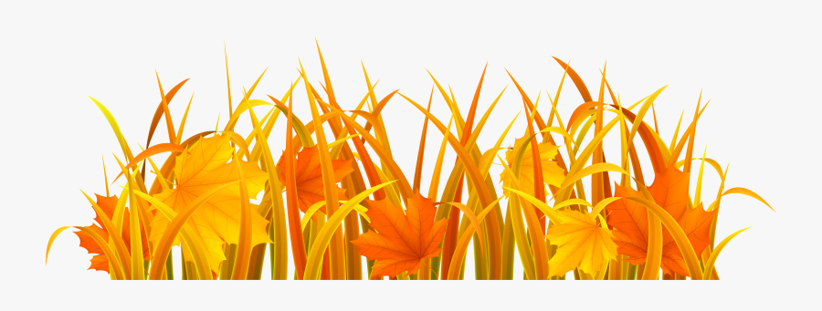 Autumn Grass Png Clipart Image - Autumn Grass Clipart, Transparent Clipart