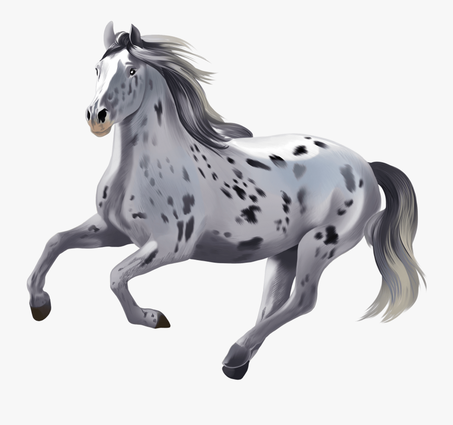 Stallion, Transparent Clipart