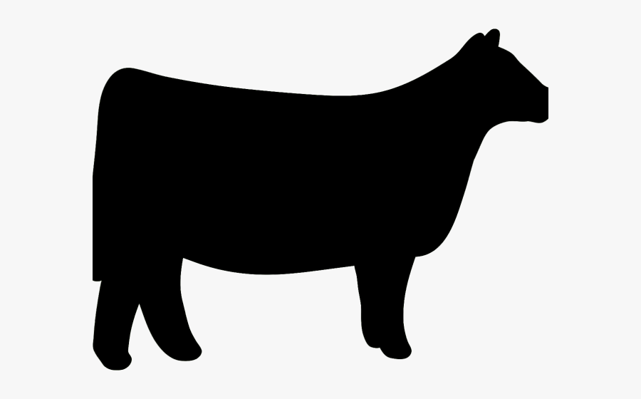 Heifer Show Cattle Silhouette, Transparent Clipart