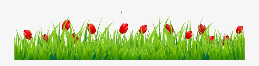 Red Tulip Border, Transparent Clipart