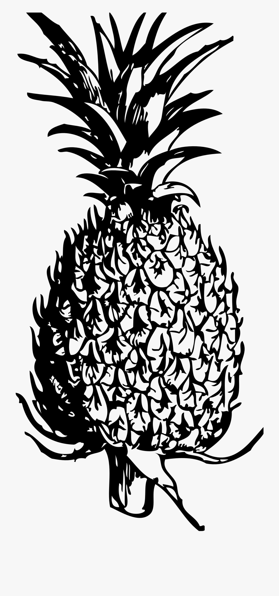 Free Pineapple Black And White Clipart Free Clip Art - Free Pineapple Clipart Black And White, Transparent Clipart