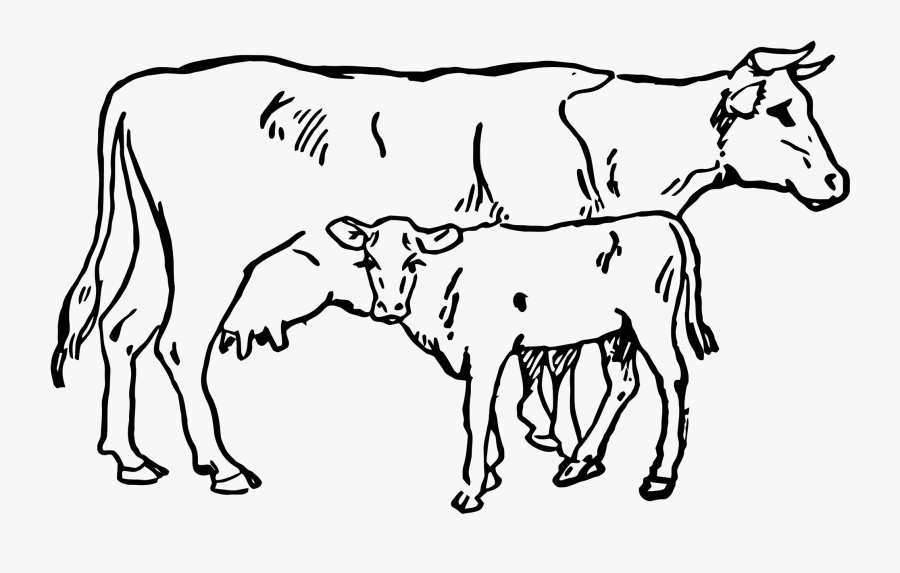 Collection Of Free Cows Drawing Calf Download On Ui - Cow And Calf Drawing, Transparent Clipart