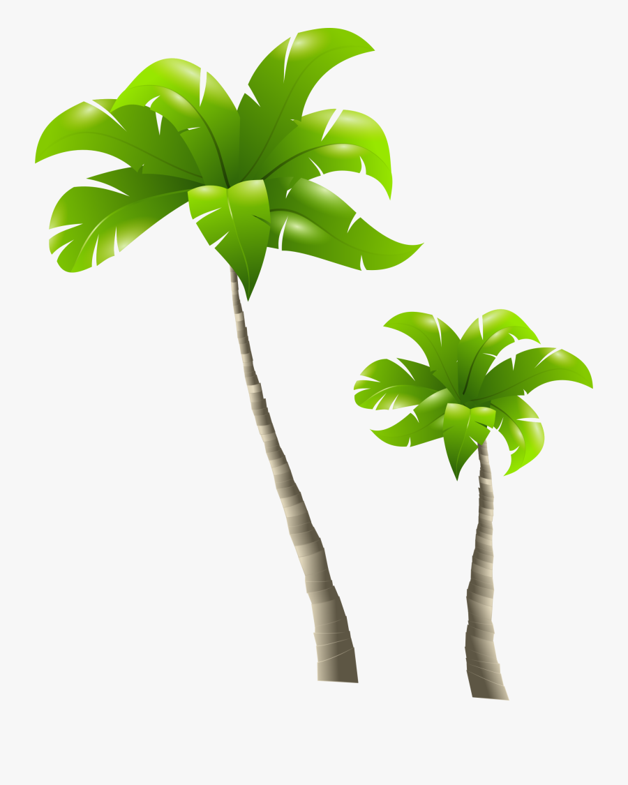 Palm Trees And Beach Clip Art Clipart Palm Trees Download - Tall Tree And Short Tree, Transparent Clipart
