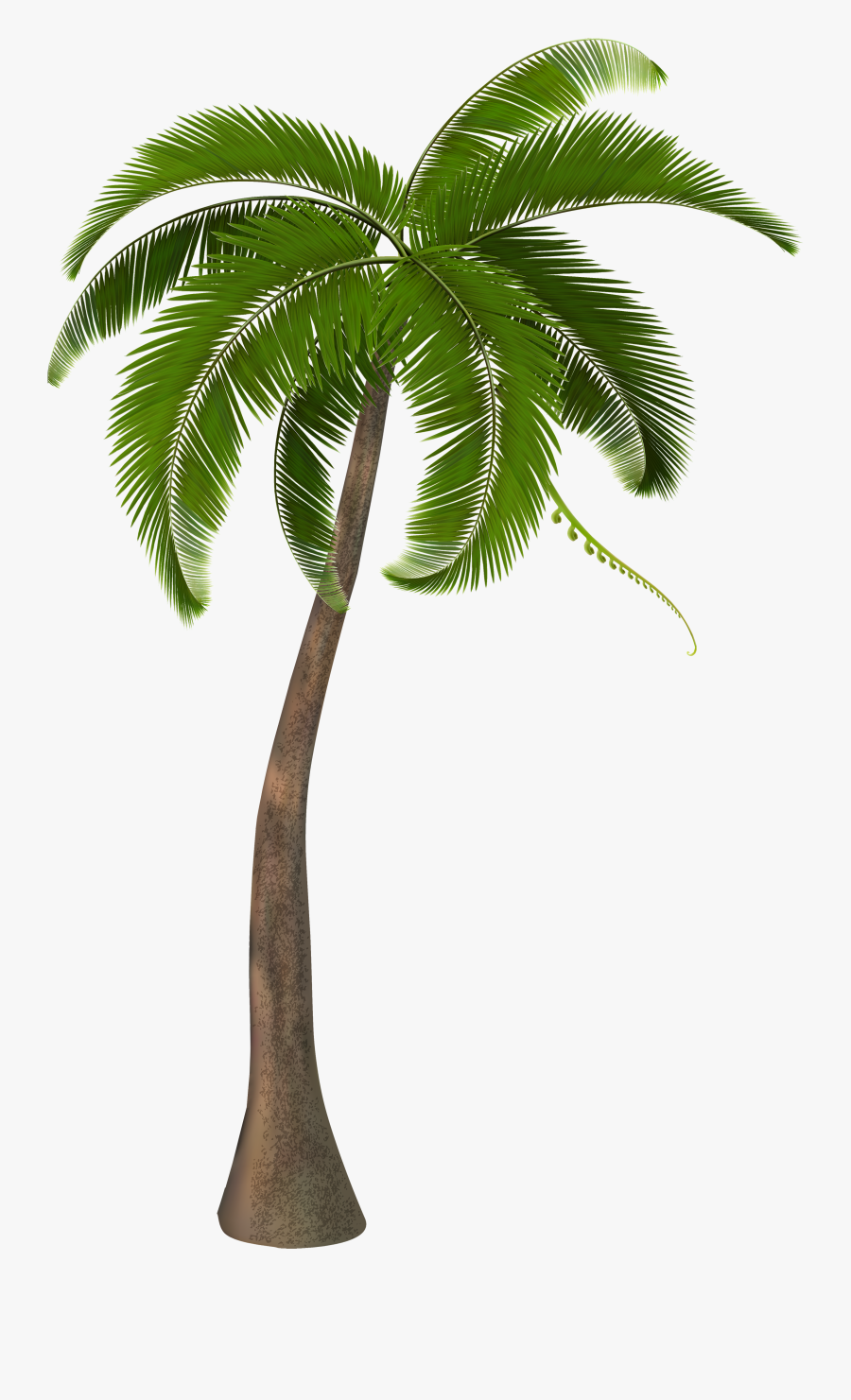 Palm Trees Clip Art Units 11 Clipart The Gospel Project - Palm Tree Png Hd, Transparent Clipart