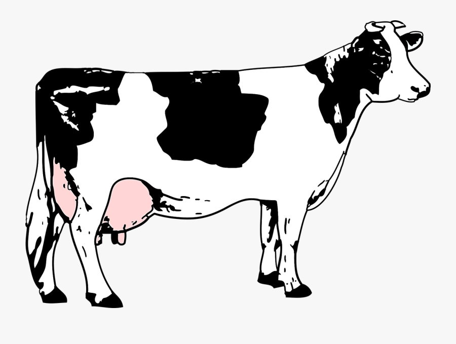 Clip Art Holstein Friesian Cattle Beef - Drow Black And White Cow, Transparent Clipart