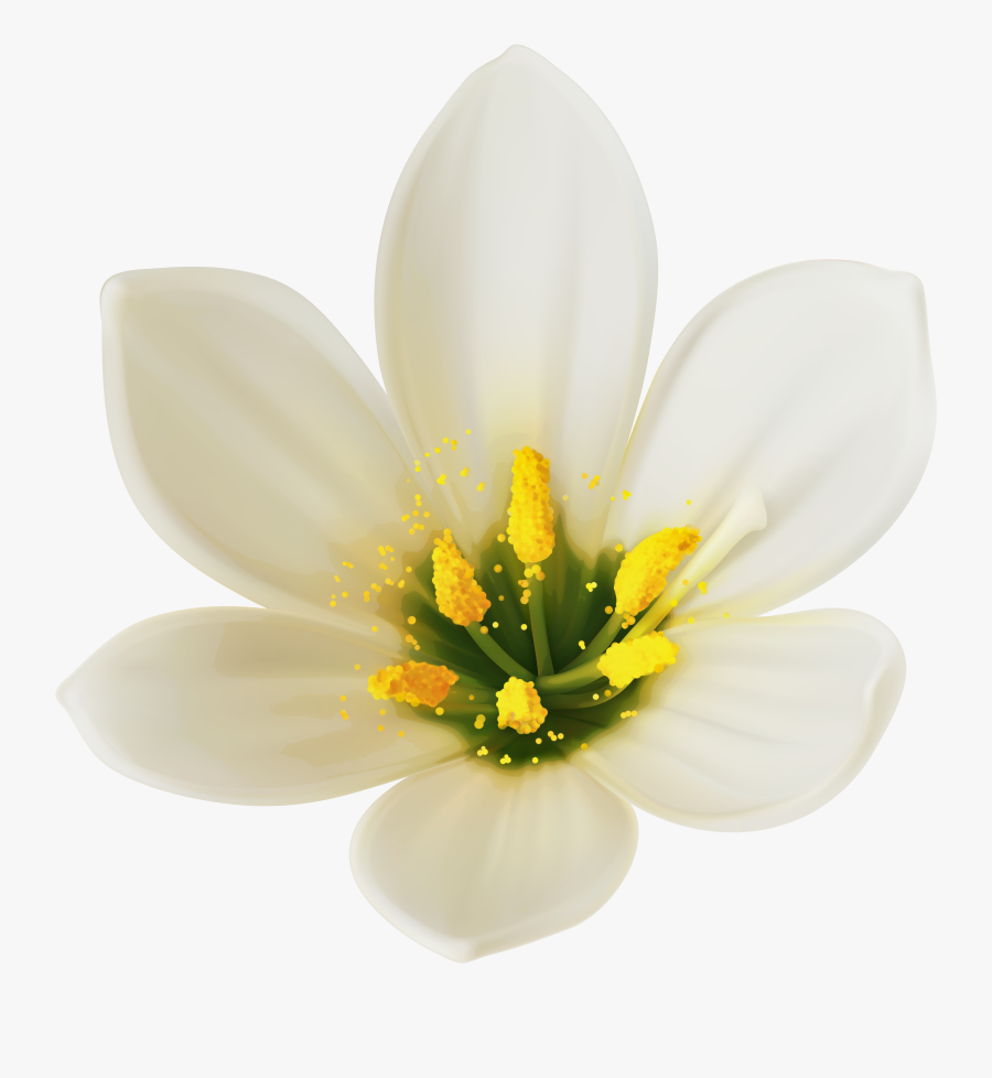 White Flower Clipart Png - White Flower Clip Art, Transparent Clipart