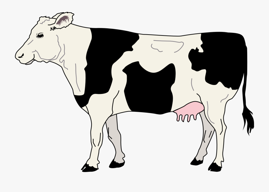 Pattern Of Spotted Free - Cow From The Side, Transparent Clipart