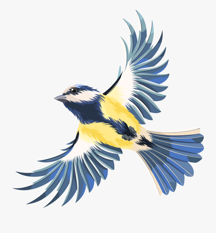 Flying Bird Clipart At Getdrawings - Flying Bird Png Clipart, Transparent Clipart