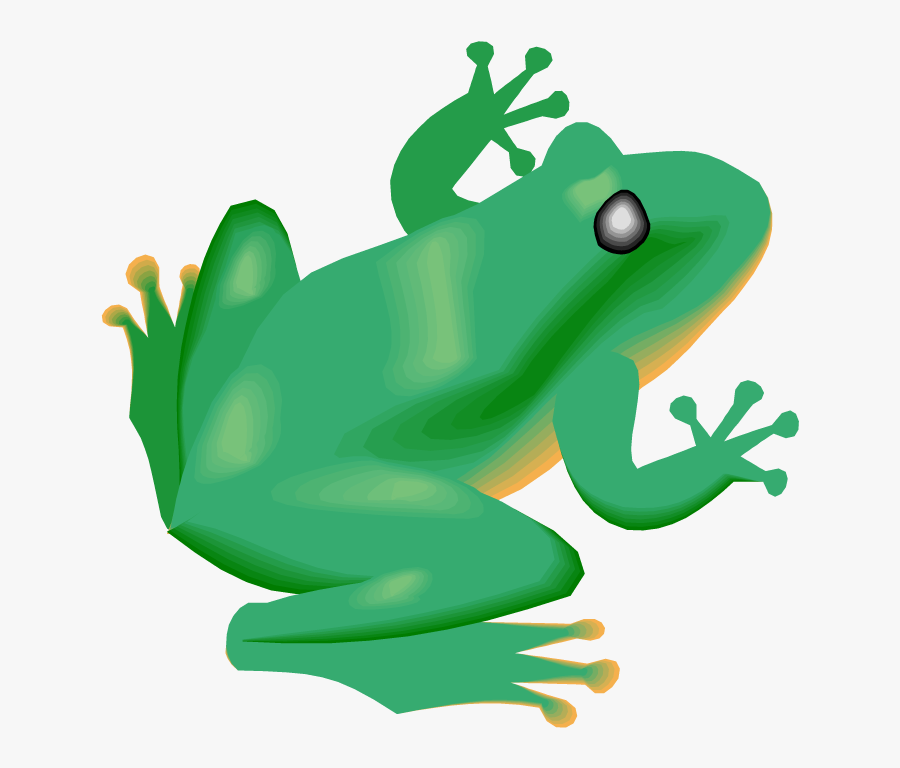 Free Frog Clipart - Rain Forest Animals Png, Transparent Clipart