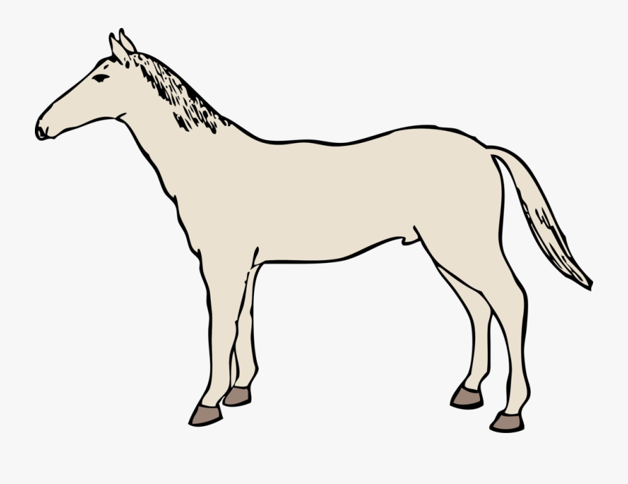 Horse - Kuda Line Art, Transparent Clipart