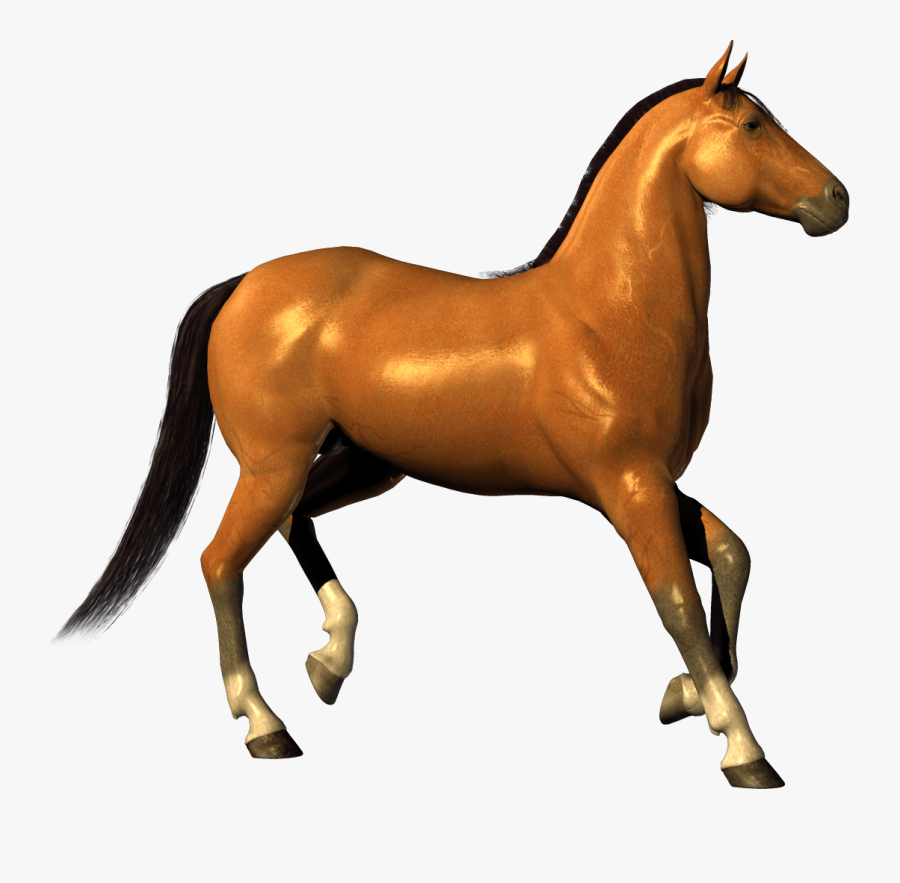 Thumb Image - Horse White Background Hd, Transparent Clipart