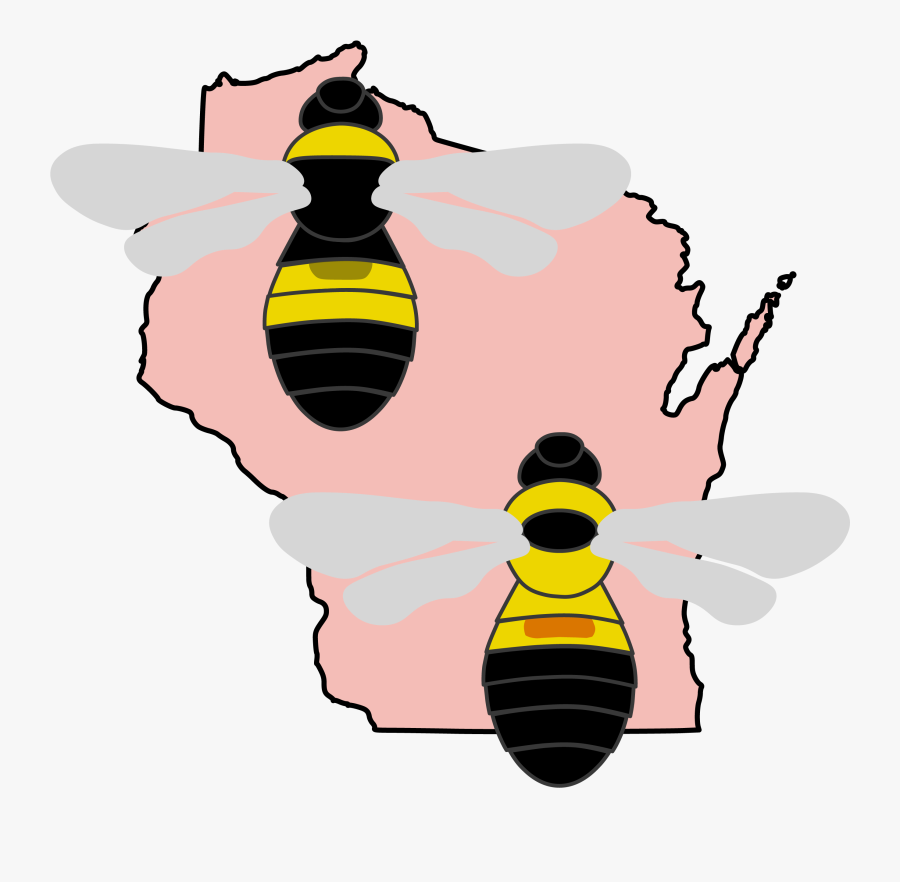 Bumble Bees Of Wisconsin - Wisconsin Black And White, Transparent Clipart