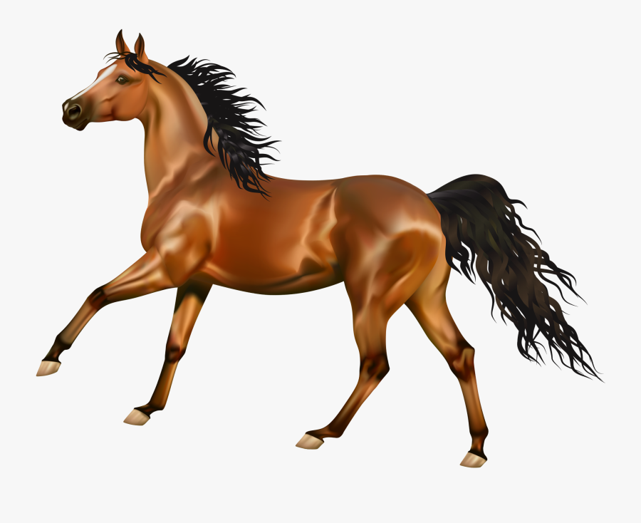 Horse Clipart Png Image Free Download Searchpng - Bolo Tema Cavalo Chantilly, Transparent Clipart
