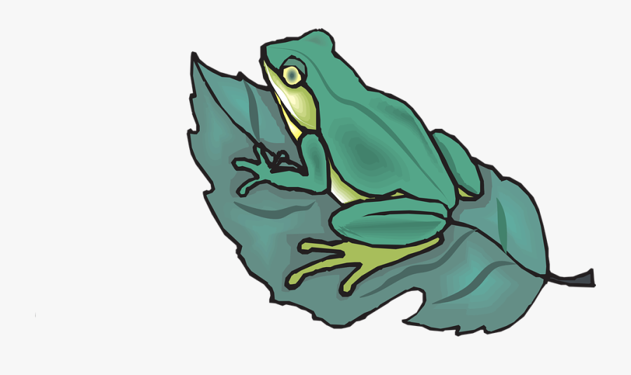 Thanksgiving Frog Clipart - Frog On The Leaf, Transparent Clipart