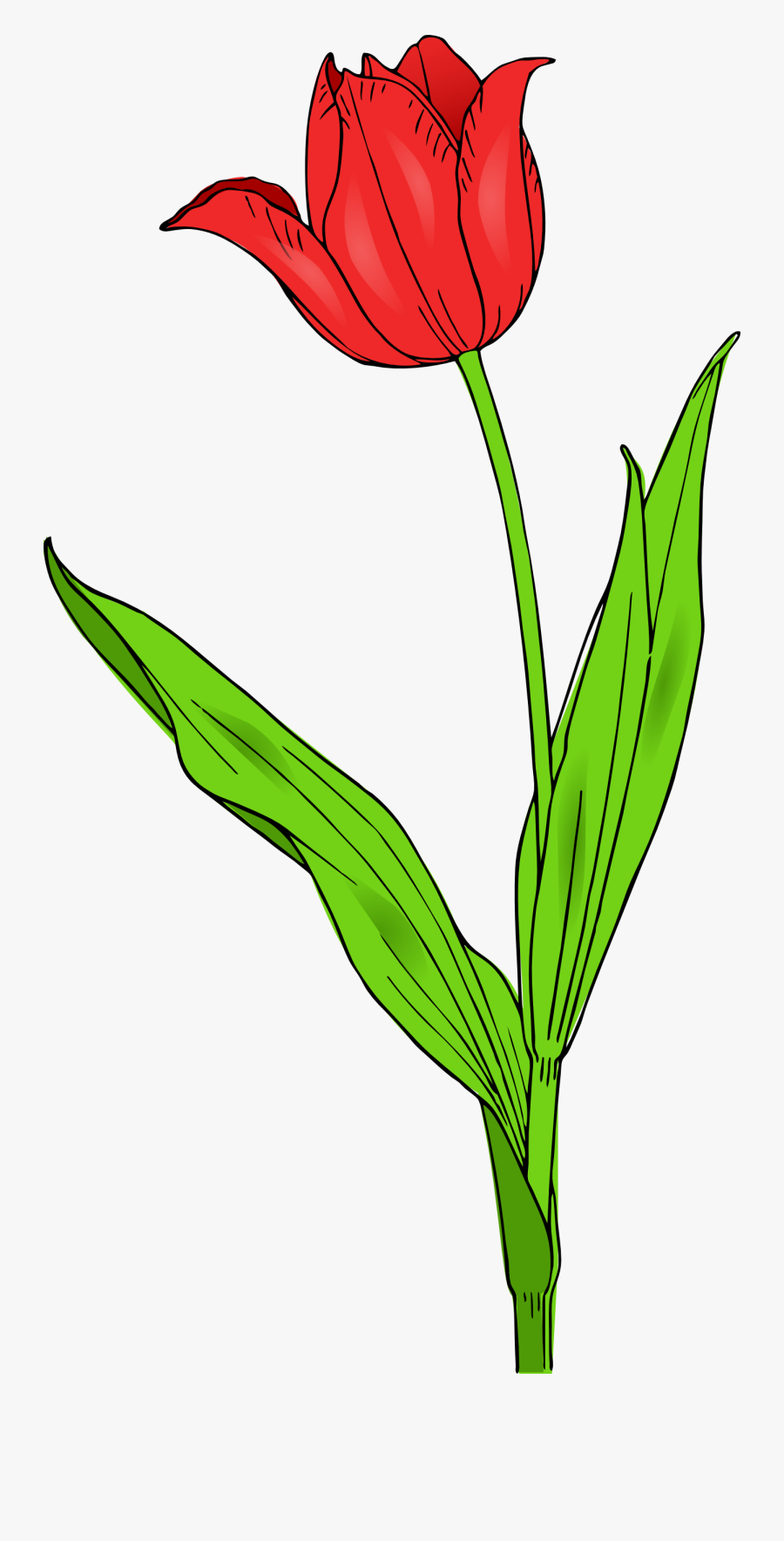 Spring Clipart Clipartmag - Tulip Clip Art, Transparent Clipart