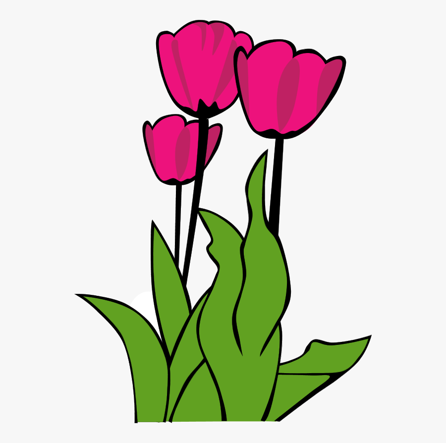 Tulip Clip Art, Transparent Clipart