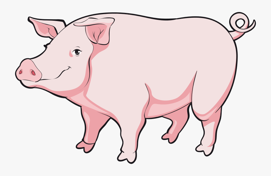 Transparent Baby Pig Clipart - Pig Animal Clipart, Transparent Clipart