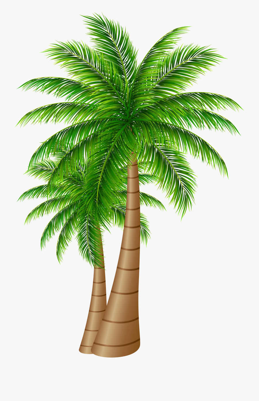 Clip Art Date Palm Tree Clip Art - Clipart Palm Tree Png, Transparent Clipart