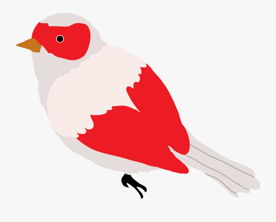 Bird Clip Art Free, Bird Clip Art Outline, Bird Clipart, - Clipart Birds, Transparent Clipart