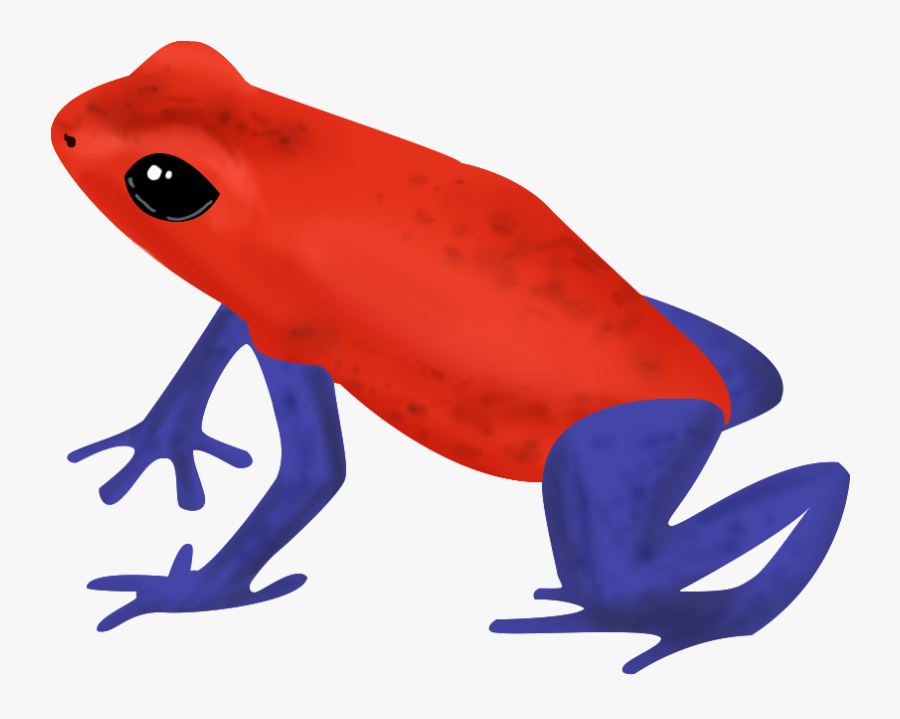 Grasshopper Frog-real Snake - Golden Poison Frog, Transparent Clipart