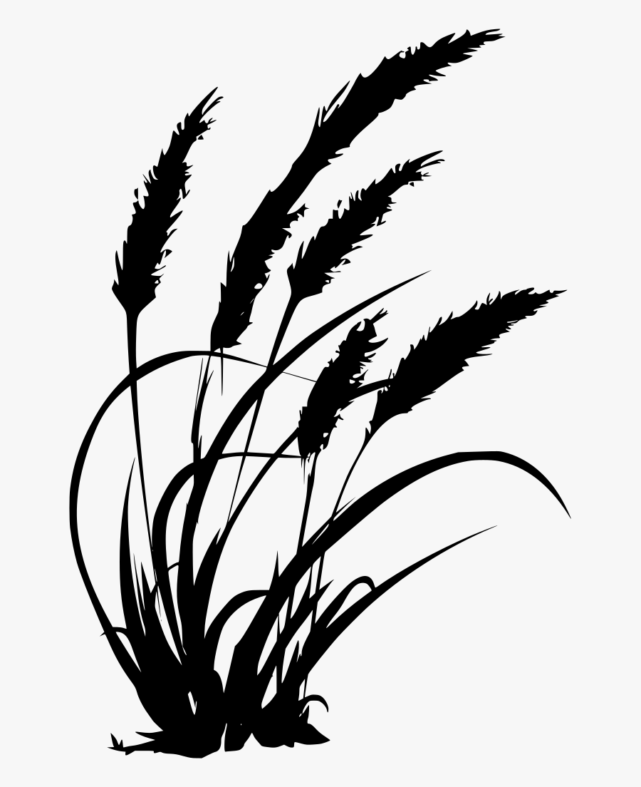 Black And White Wheat Grass Clipart - Agriculture Clipart Black And White, Transparent Clipart