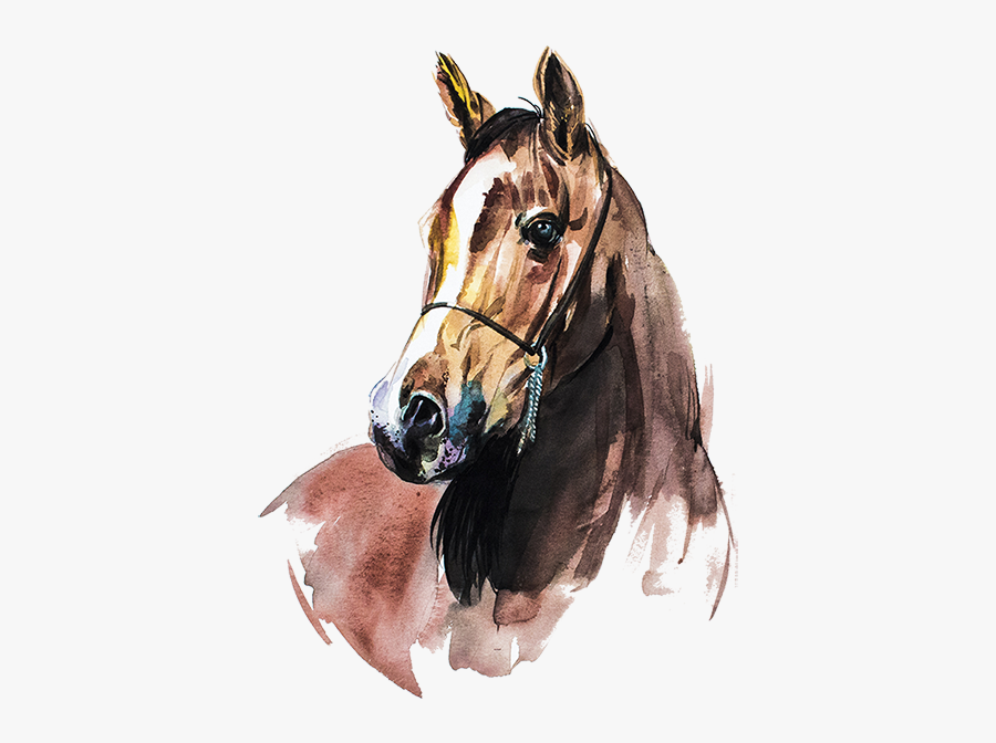 Horse Watercolor Png, Transparent Clipart