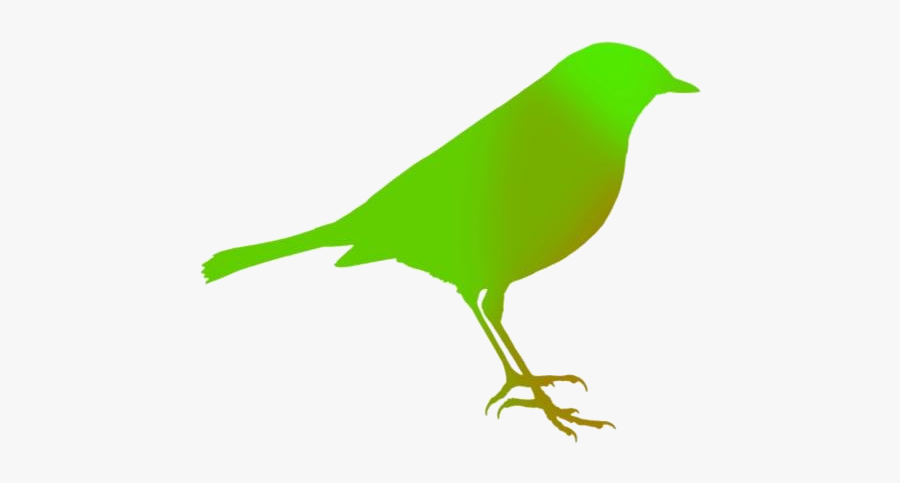 Transparent Robin Bird Clipart, Robin Bird Png Image - Old World Flycatcher, Transparent Clipart