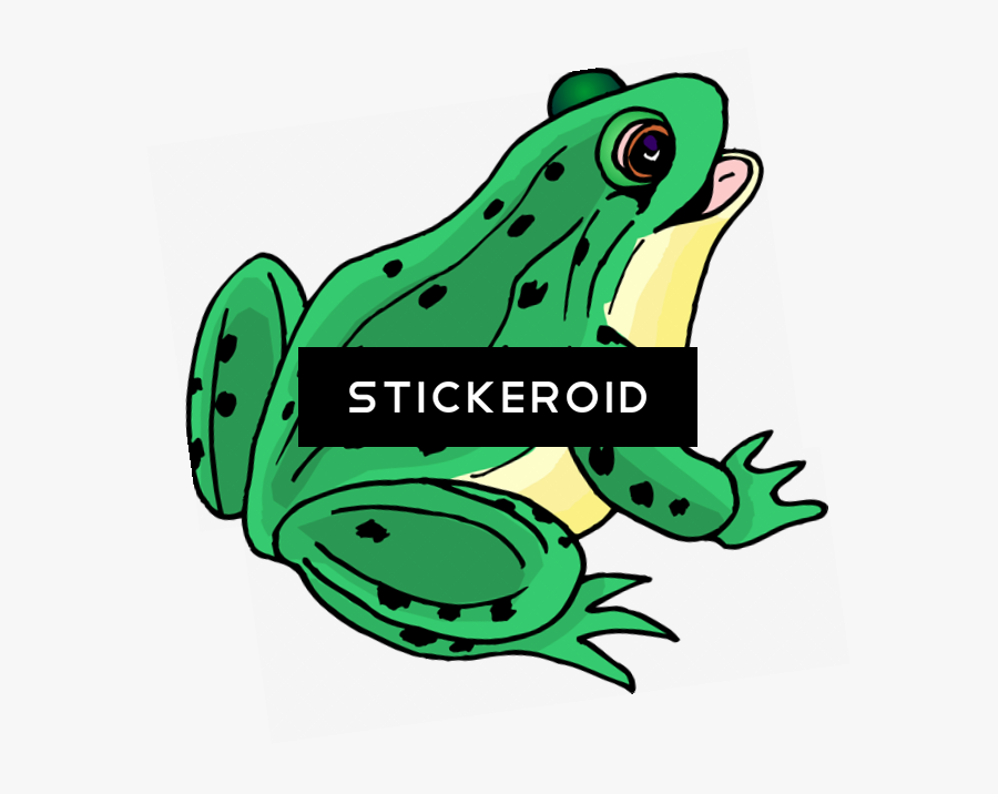 Frog Clip Art - Clipart Pictures Of Frog, Transparent Clipart