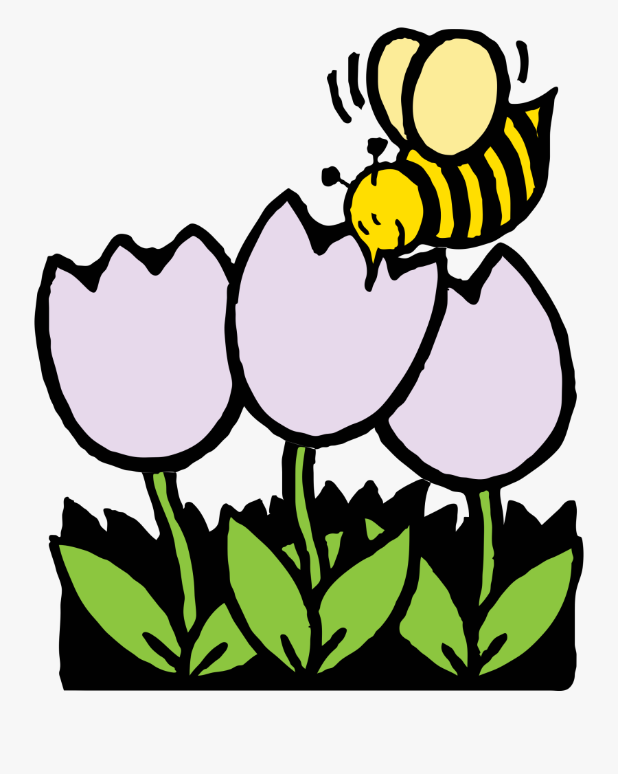 Bee And Flowers Image Free Stock - Bee On Flower Clipart, Transparent Clipart
