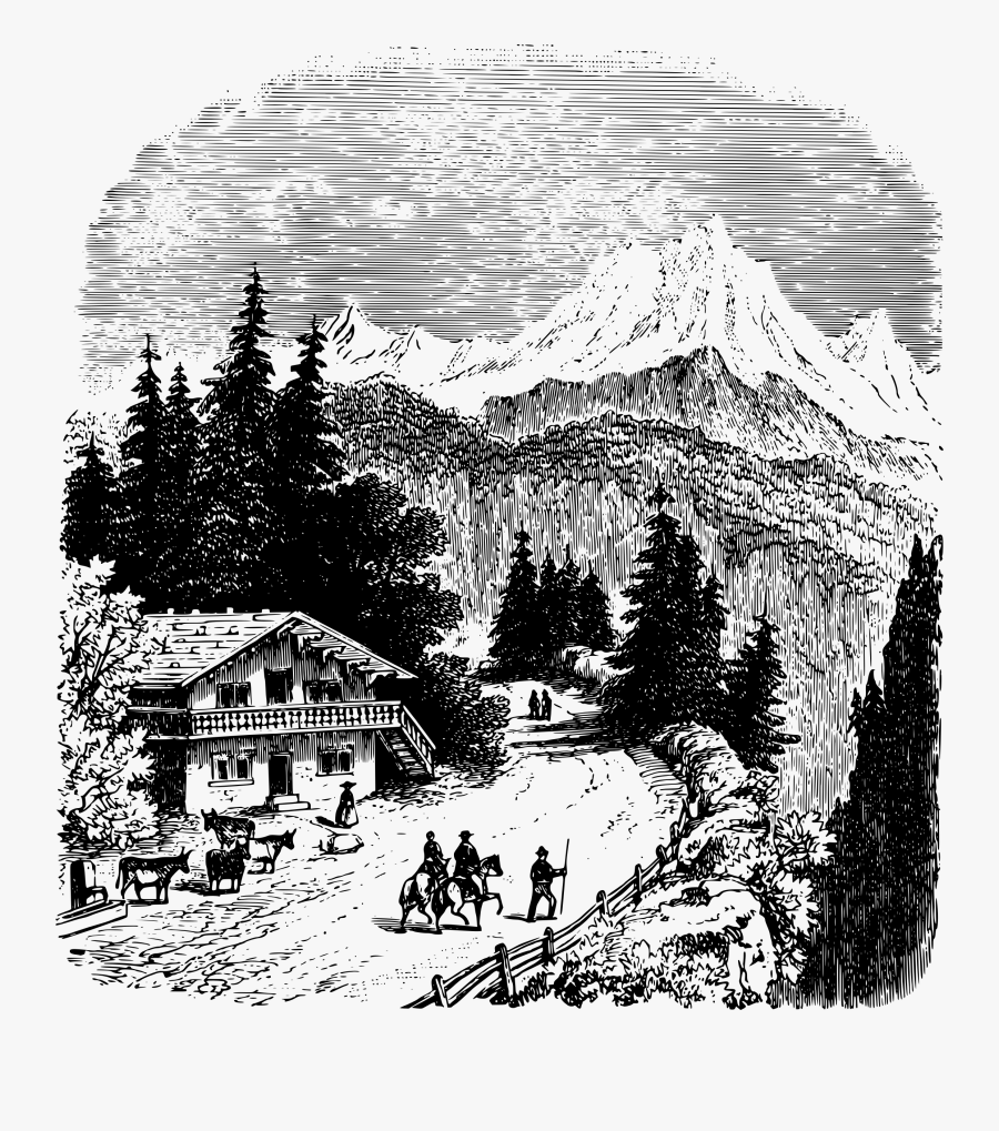 Fir,pine Family,art - Black And White Drawing Of A Countryside, Transparent Clipart