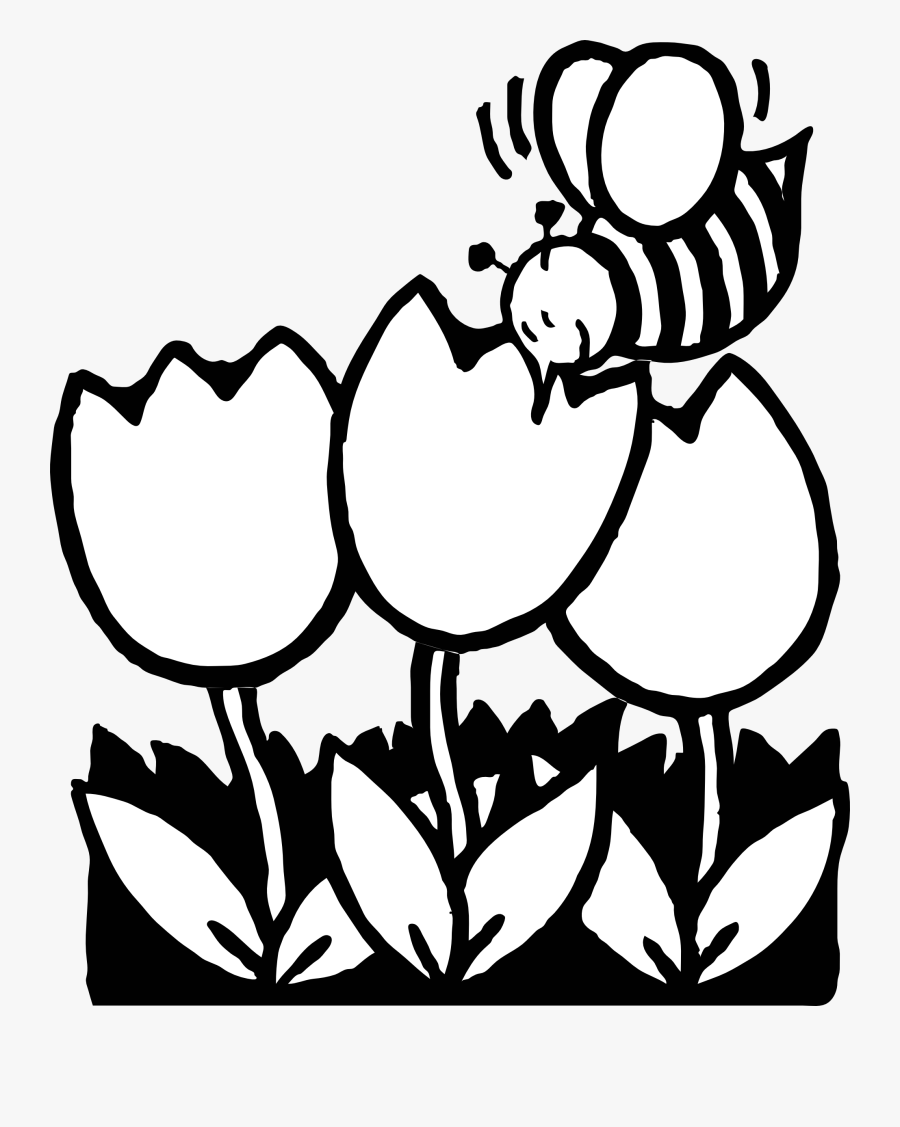 Bee Clipart Line Drawing - Spring Flowers Clip Art Black And White, Transparent Clipart