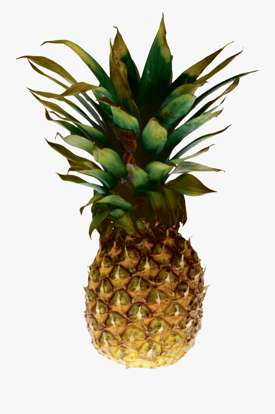 Juice Pineapple Clip Art - Pineapple Image No Background, Transparent Clipart