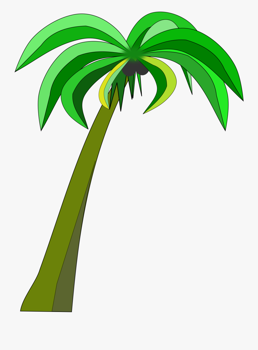 Coconut Tree Clipart Png, Transparent Clipart