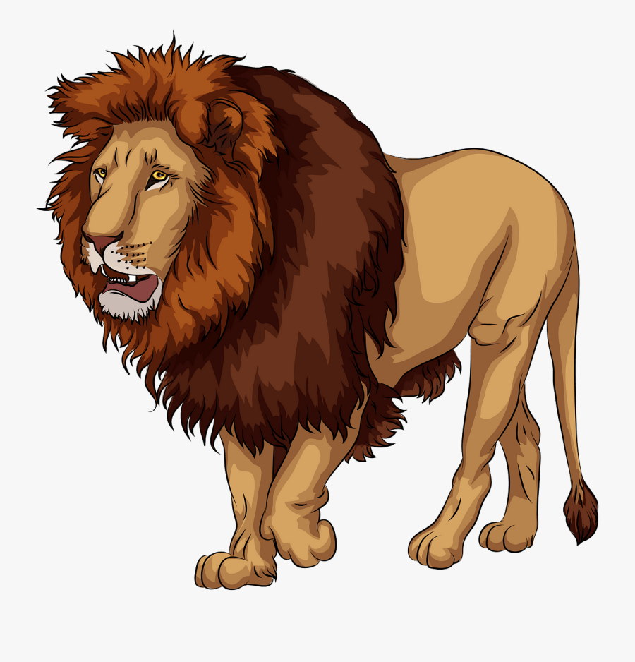 Lion Clipart, Transparent Clipart