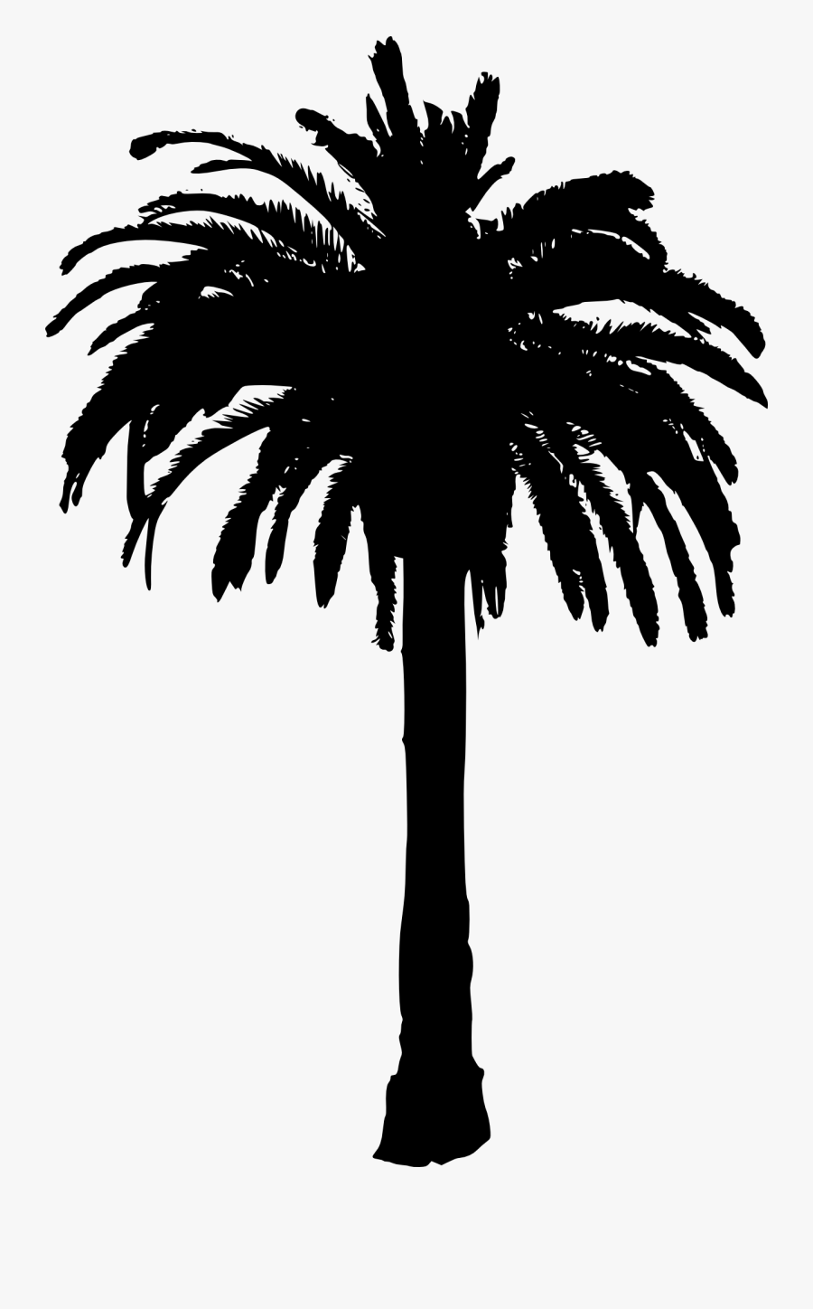 Palm Tree Transparent Background, Transparent Clipart