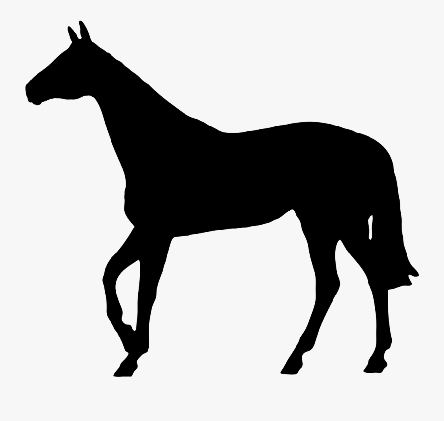 Horse Black Silhouette - Horse Silhouette No Background, Transparent Clipart