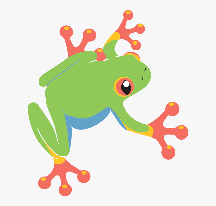 Tree Frog Clipart - Cartoon Red Eyed Tree Frog Clipart, Transparent Clipart