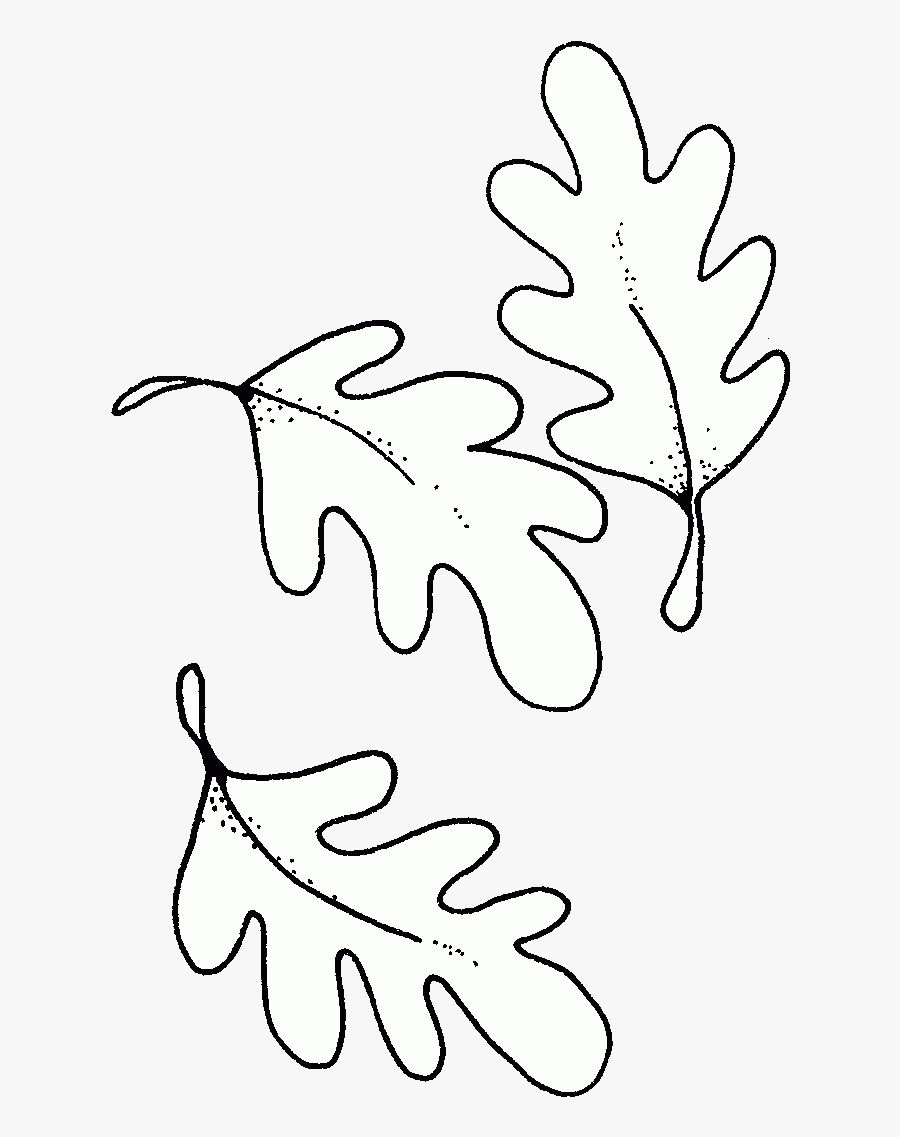 Fall Clipart Black And White Oak Zentangle Designs - White Oak, Transparent Clipart