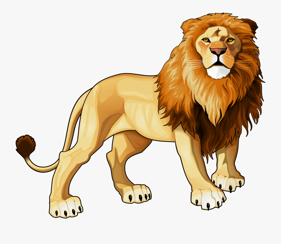 Lion Png Clipart - Transparent Background Lion Clipart, Transparent Clipart